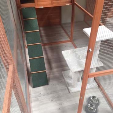 Photo of inside a medium cat boarding suite.